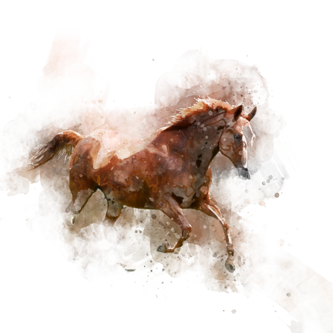 Hand painted watercolor chinese style PNG Free Download