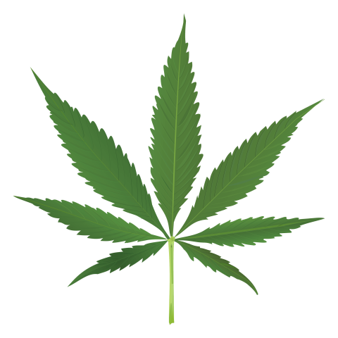 Thug Life PNG Plant Free Download