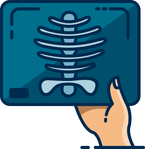 X Ray PNG Free Medical Icon Image