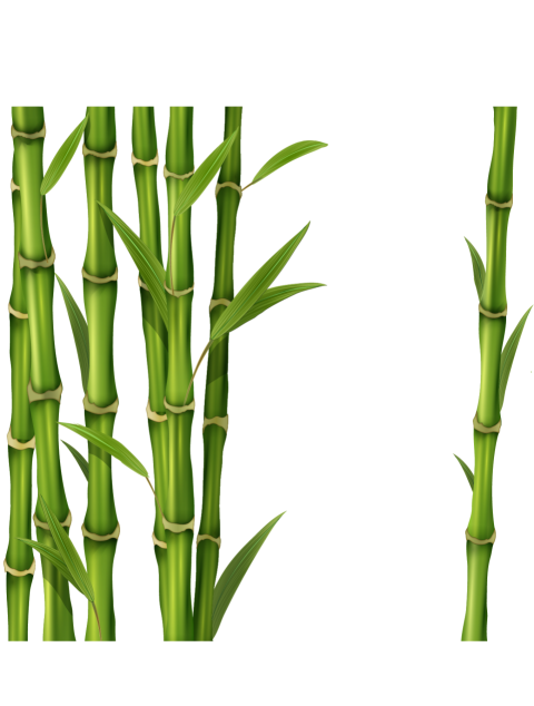 Long Bamboo Sticks PNGs Fee